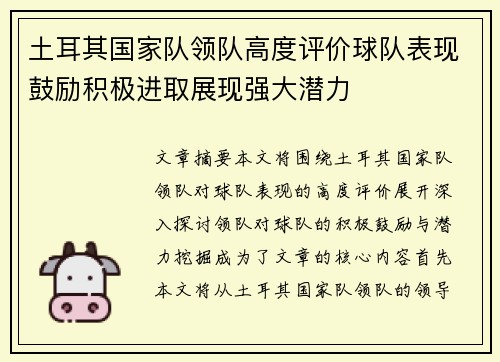 土耳其国家队领队高度评价球队表现鼓励积极进取展现强大潜力